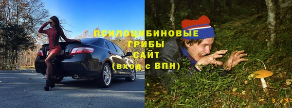 PSILOCYBIN Алексеевка