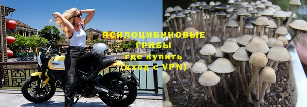 бошки Алзамай