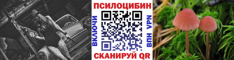 Псилоцибиновые грибы мицелий  Багратионовск 