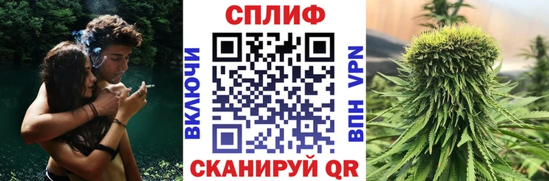 продажа наркотиков  Багратионовск  Каннабис сатива 